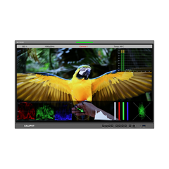 Lilliput Q31 – 31.5” 12G-SDI 4K HDR Broadcast Monitor with Fiber Input & Audio Vectoring
